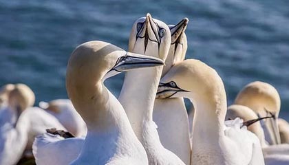 体育新闻中心推动体育赛事数据加密与安全技术研发，体育数据新闻案例