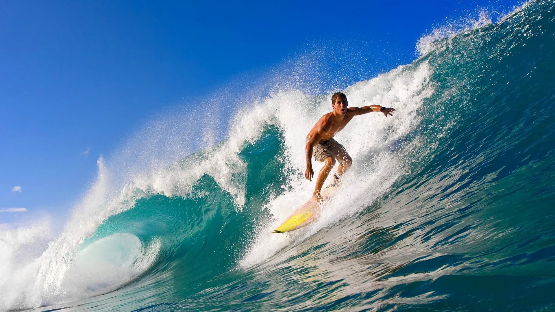 日本队在亚洲杯表现优异，誓夺冠军