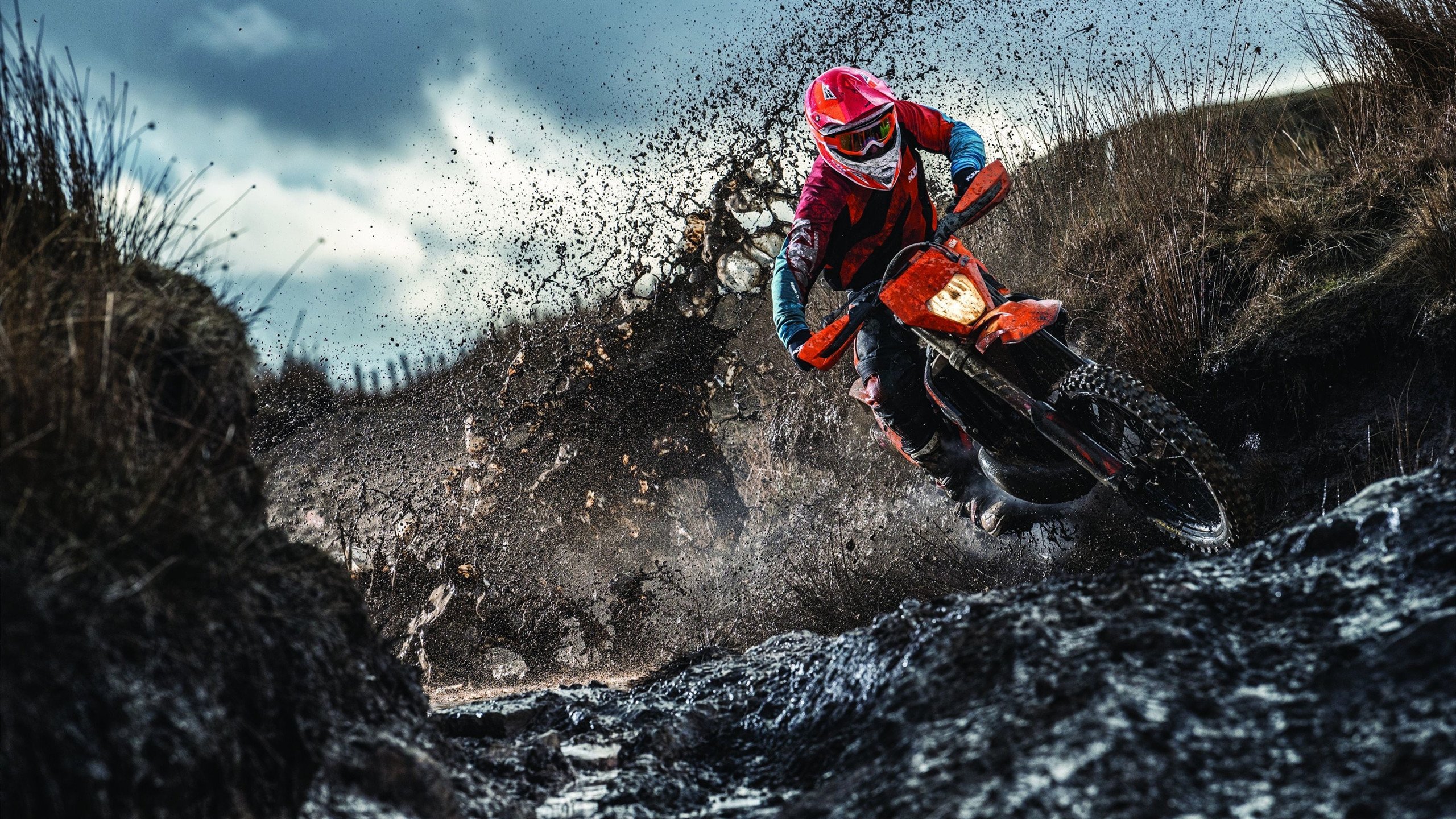 波兰队未来展望:如何通过加强队伍协作提升整体实力,波兰队友